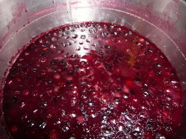 Schlehen - Marmelade mit Apfel oder Birne. - Rezept - Bild Nr. 2