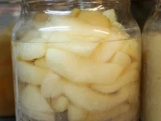 EINKOCHEN: APFELSPALTEN - Rezept - Bild Nr. 9