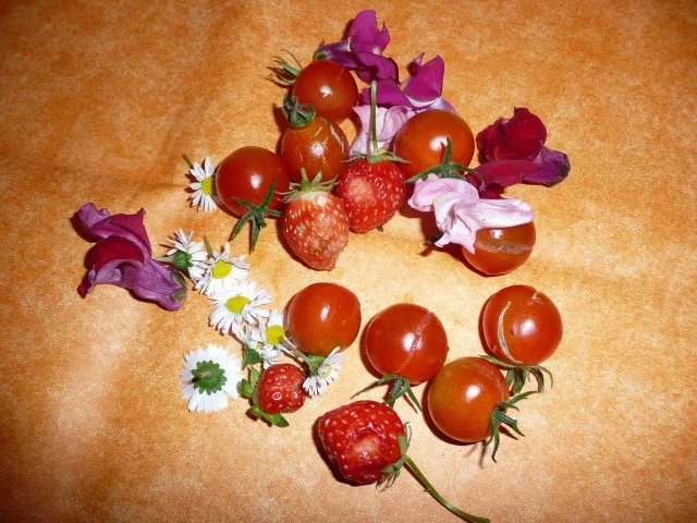 Heute mal Vegan ! - Rezept - Bild Nr. 8