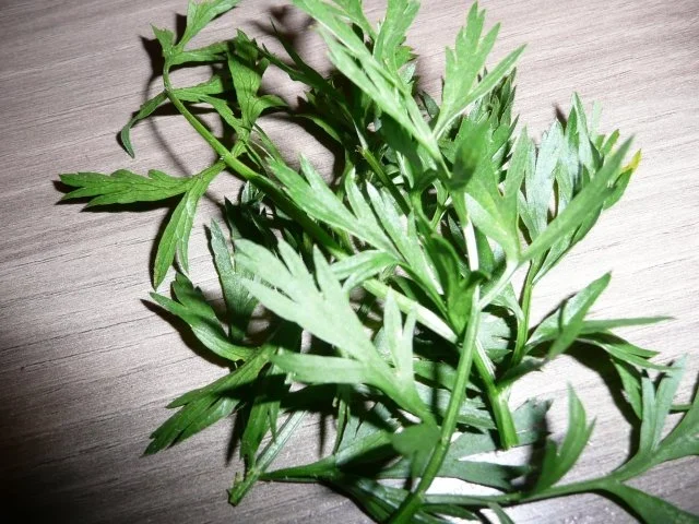 Heute mal Vegan ! - Rezept - Bild Nr. 10