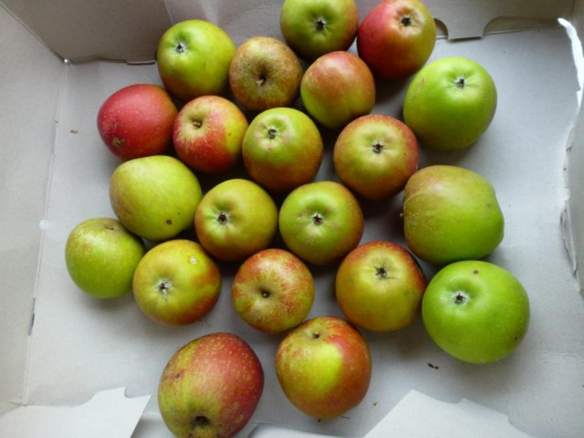 Apfelstrudel mit extra viel Äpfeln - Rezept - Bild Nr. 3