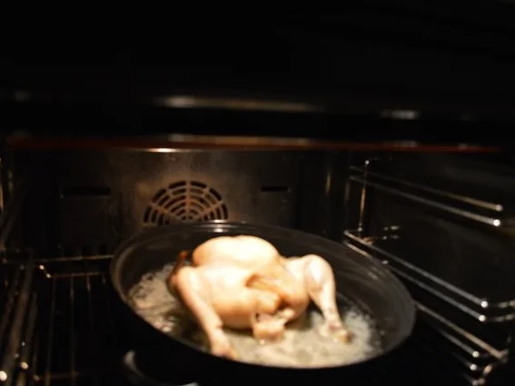 Rainer´s  "Wasserhähnchen" - Rezept - Bild Nr. 14