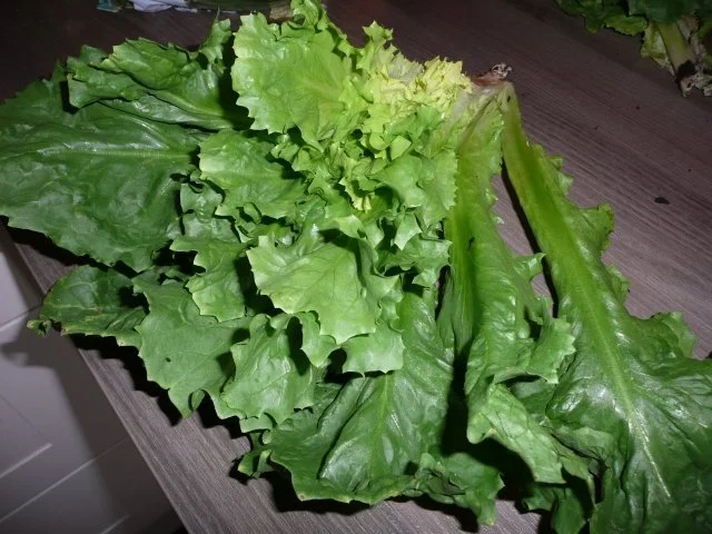 Rezept: Champignon - Gemüse -Spaghetti Bild Nr. 3 Champignon - Gemüse -Spaghetti - Rezept - Bild Nr. 3