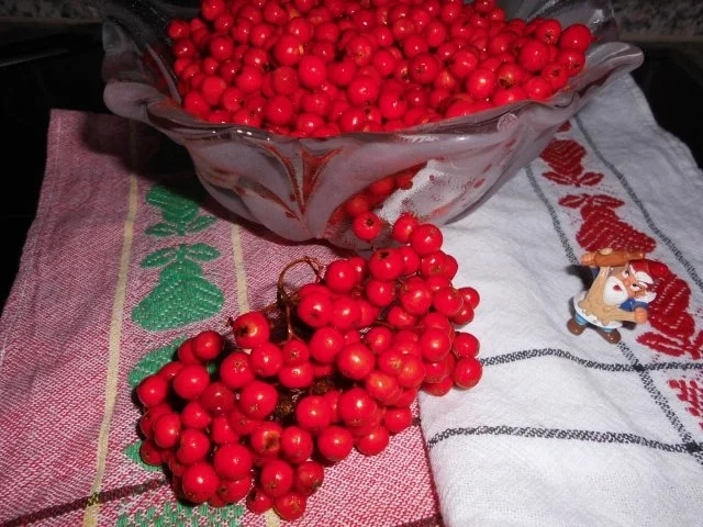 Herrenkonfitüre>> - Rezept - Bild Nr. 3