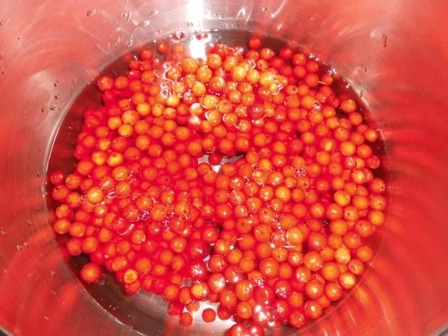 Herrenkonfitüre>> - Rezept - Bild Nr. 5