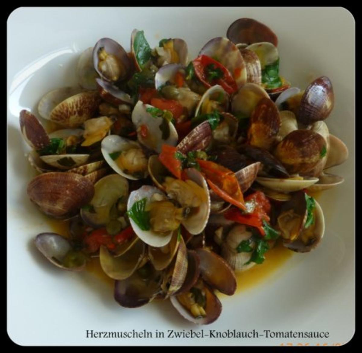 Herzmuscheln in Zwiebel-Tomaten-Knoblauchsauce - Rezept