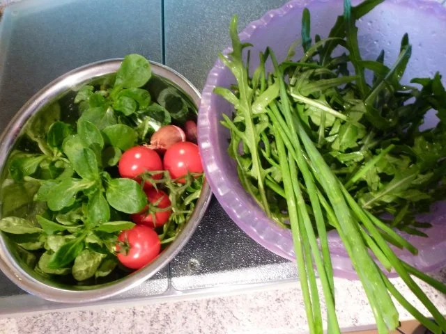 Frischer Salat-Mix aus dem Garten - Rezept - Bild Nr. 4