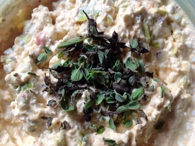 Rezept: Bratpaprika-Frischkäse-Dip Bild Nr. 8 Bratpaprika-Frischkäse-Dip - Rezept - Bild Nr. 8