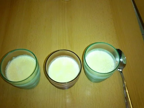 Rezept: Panna Cotta mit Himbeersoße Bild Nr. 5 Panna Cotta mit Himbeersoße - Rezept - Bild Nr. 5