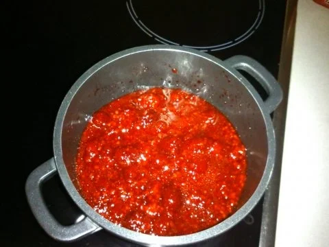 Rezept: Panna Cotta mit Himbeersoße Bild Nr. 9 Panna Cotta mit Himbeersoße - Rezept - Bild Nr. 9