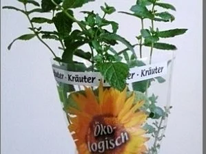 Rezept: Tagliatelle in Minzsauce und gebratenes Lachsfilet mit Rose garniert Bild Nr. 5 Tagliatelle in Minzsauce und gebratenes Lachsfilet mit Rose garniert - Rezept - Bild Nr. 5