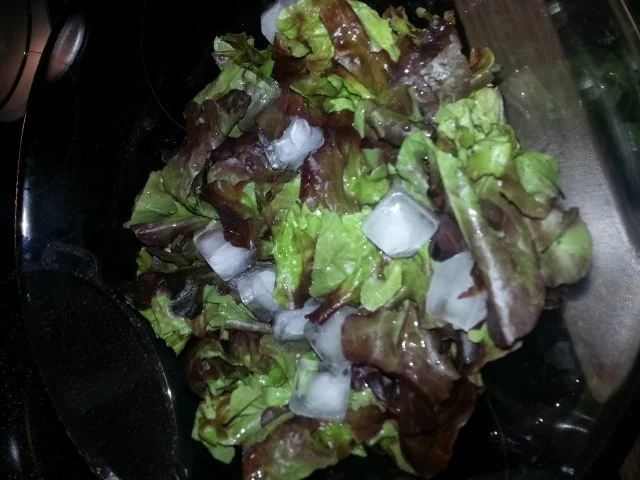 Rezept: Lachsfilet auf Salatbett Bild Nr. 7 Lachsfilet auf Salatbett - Rezept - Bild Nr. 7