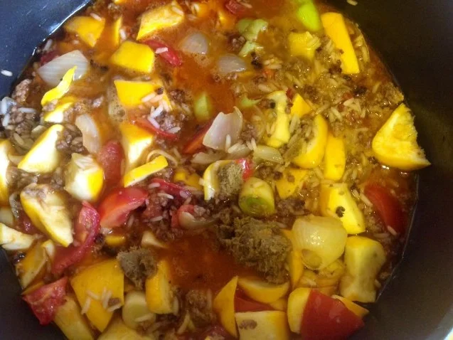 Reisfleisch mit Kürbis - Rezept - Bild Nr. 8