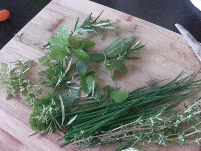 Ennstaler Braterl im Kräuter-Krenn-Mantel - Rezept - Bild Nr. 2