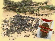 rote Basilikumblüte - Rezept