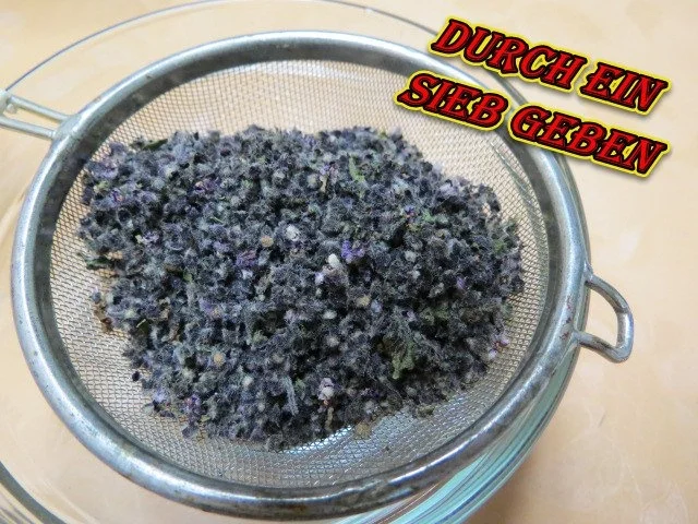 Rezept: rote Basilikumblüte Bild Nr. 3 rote Basilikumblüte - Rezept - Bild Nr. 3