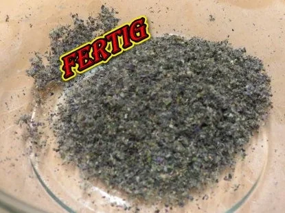 Rezept: rote Basilikumblüte Bild Nr. 4 rote Basilikumblüte - Rezept - Bild Nr. 4