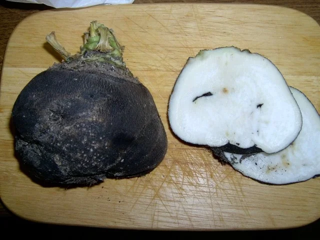 Rezept: Spiegelei mit Zucchini und Leberkäse Bild Nr. 2 Spiegelei mit Zucchini und Leberkäse - Rezept - Bild Nr. 2