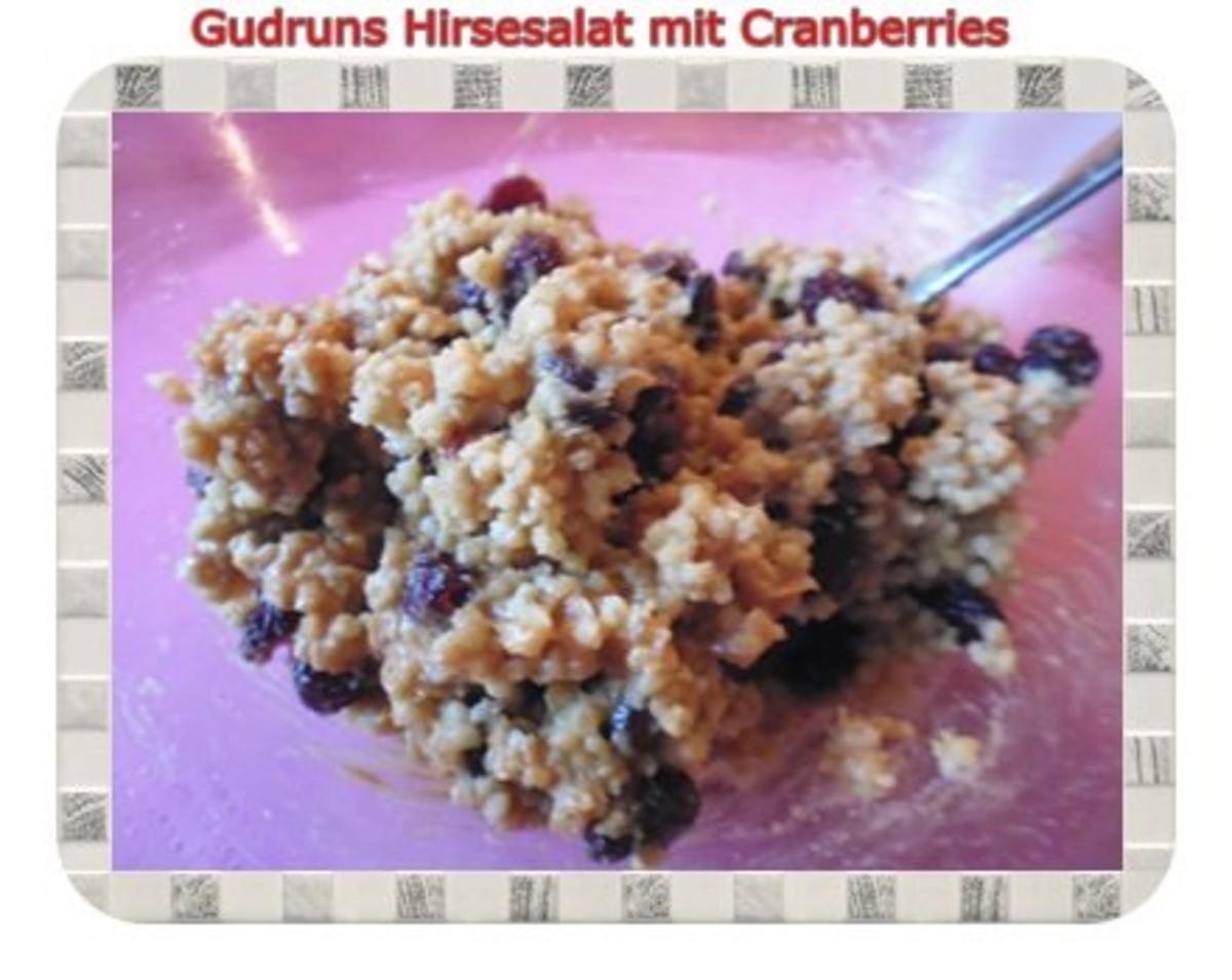 Gesundes: Hirsesalat mit Cranberries - Rezept