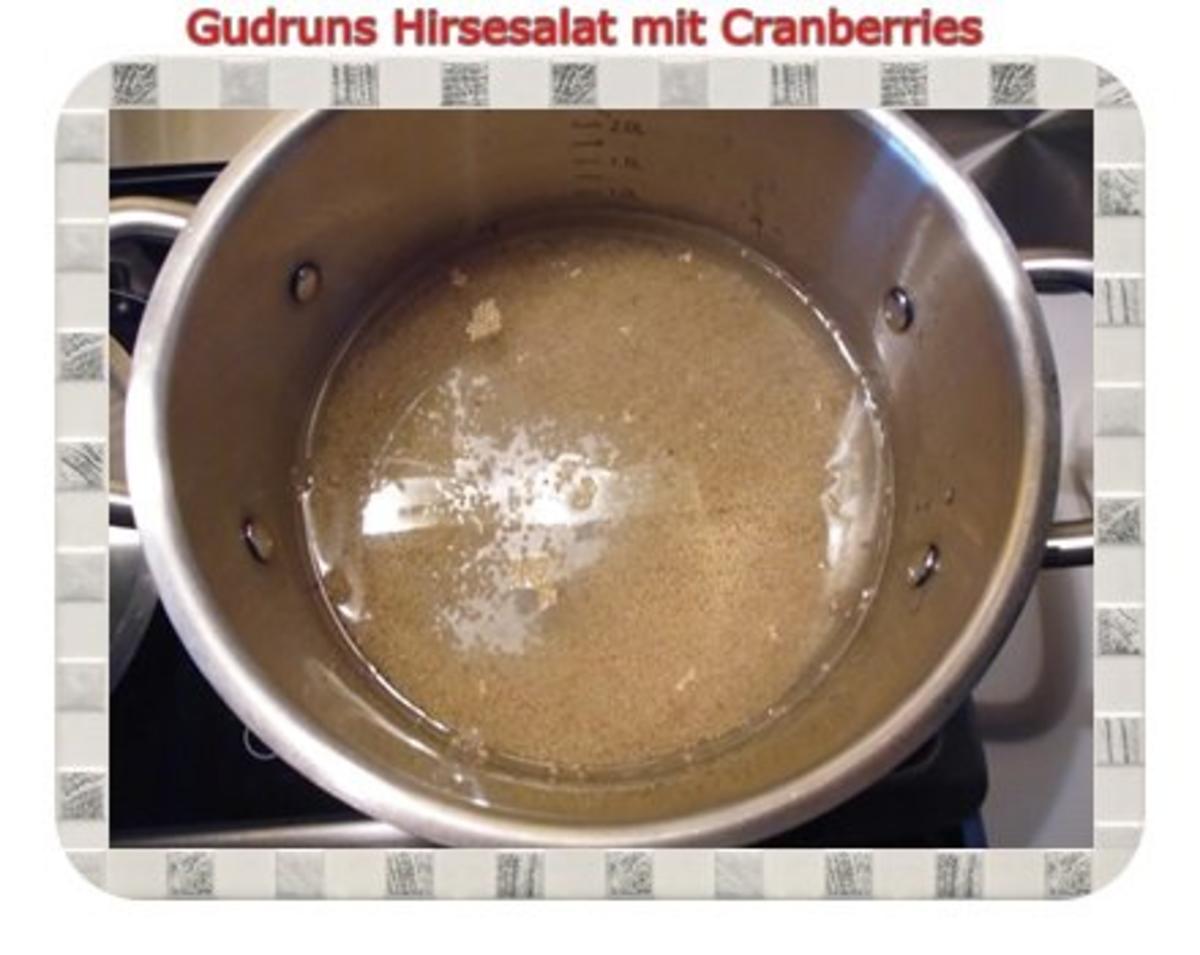 Gesundes: Hirsesalat mit Cranberries - Rezept - Bild Nr. 5