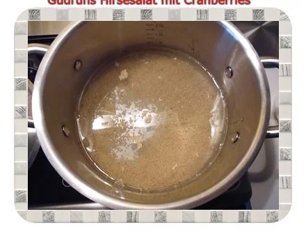 Gesundes: Hirsesalat mit Cranberries - Rezept - Bild Nr. 5