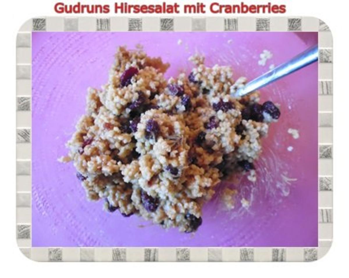 Gesundes: Hirsesalat mit Cranberries - Rezept - Bild Nr. 9