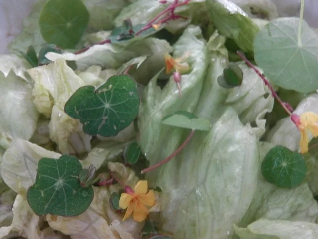 Rezept: 1Topgericht: Ennstaler Hirtenpfanne "A Hipfal" Bild Nr. 6 1Topgericht: Ennstaler Hirtenpfanne "A Hipfal" - Rezept - Bild Nr. 6