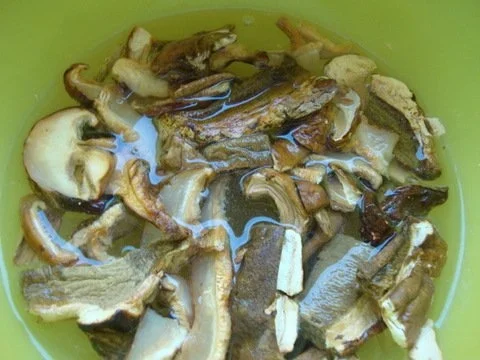 Rezept: Pilz-Maronensüppchen Bild Nr. 5 Pilz-Maronensüppchen - Rezept - Bild Nr. 5