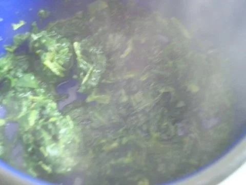 "heißes" Tomatensüppchen mit Kokos-Erdnuss touch - Rezept - Bild Nr. 9