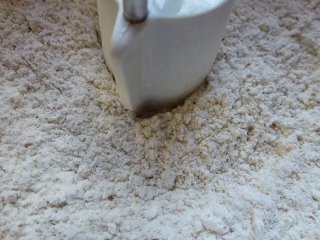 Rezept: Kürbiskernschrotbrötchen pur und mit Sesamkruste Bild Nr. 5 Kürbiskernschrotbrötchen pur und mit Sesamkruste - Rezept - Bild Nr. 5