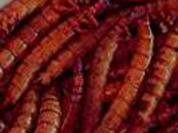 SchwarzkäferLarven - Rezept