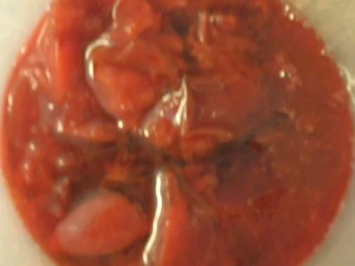 Birnen - Joghurt - Dessert, Marsala - Zwetschgen - Soße und karamelisierte Walnüsse ... - Rezept - Bild Nr. 11