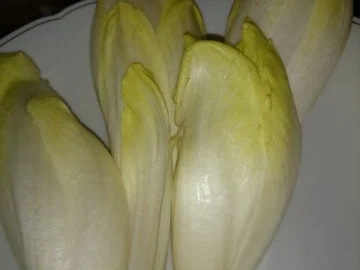 Rezept: Chicoreesalat II Chicoreesalat II - Rezept