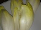 Chicoreesalat II - Rezept