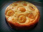 Mini Aprikosen-Käse-Kuchen mit dem Thermomix - Rezept