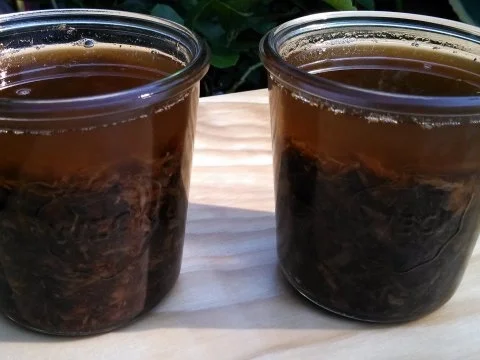 Rillettes von der Gans - Rezept - Bild Nr. 7