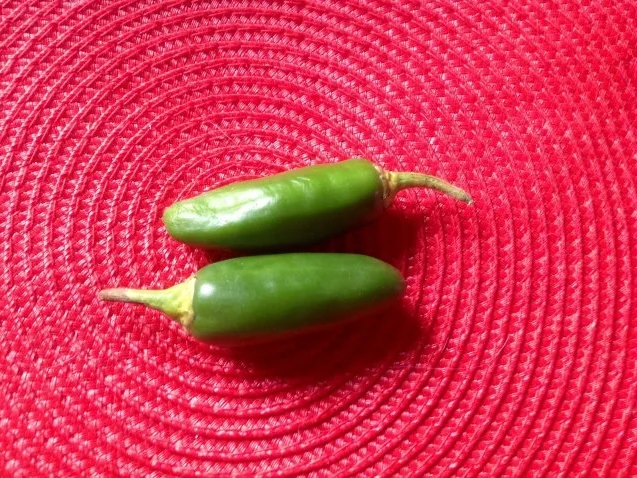 Jalapenos - Rucola - Käsecreme - Rezept - Bild Nr. 5