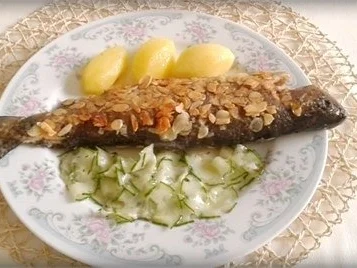 Rezept: Mandelforelle mit tournierten Kartoffeln und Salatgurke dazu. Bild Nr. 15 Mandelforelle mit tournierten Kartoffeln und Salatgurke dazu. - Rezept - Bild Nr. 15