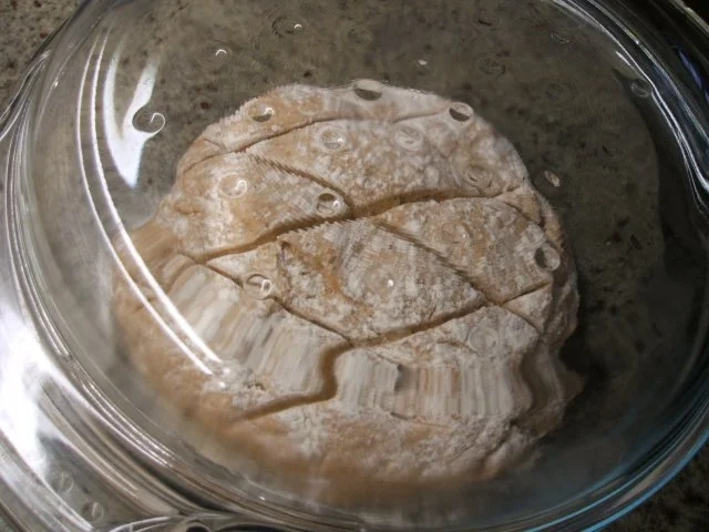 Rezept: Brot/Brötchen: Dinkel-Apfel-Brot Bild Nr. 10 Brot/Brötchen: Dinkel-Apfel-Brot - Rezept - Bild Nr. 10