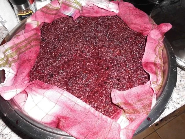 Holundermuttersaft>> - Rezept - Bild Nr. 2