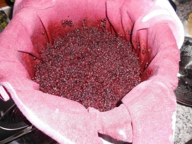 Holundersaft>> - Rezept - Bild Nr. 2