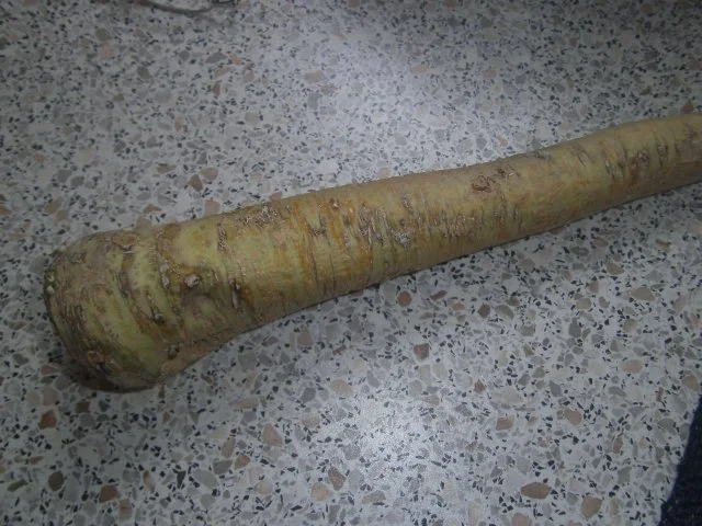 Rezept: Meerrettichpüree Meerrettichpüree - Rezept