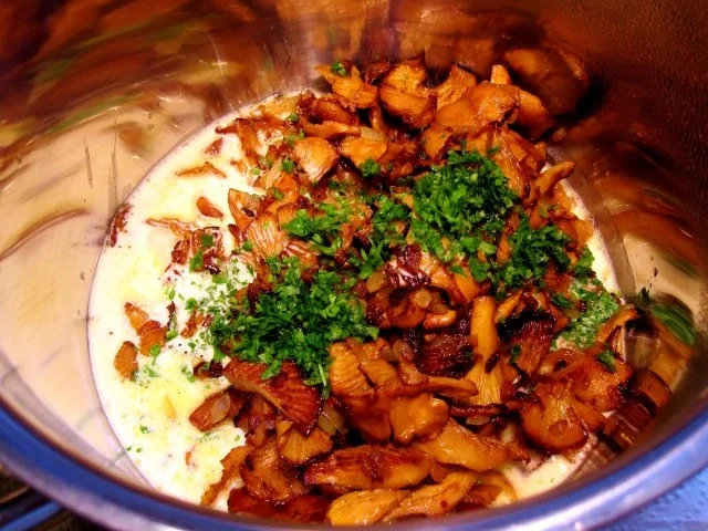 Rezept: Pfifferlinge mit Pellkartoffeln Bild Nr. 5 Pfifferlinge mit Pellkartoffeln - Rezept - Bild Nr. 5