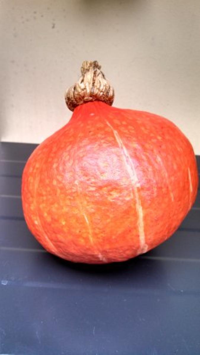Pumpkin - Pecan - Pie - Rezept - Bild Nr. 2