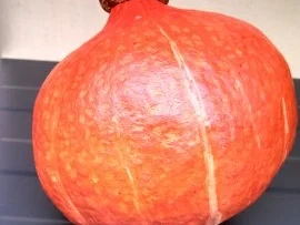 Rezept: Pumpkin - Pecan - Pie Bild Nr. 2 Pumpkin - Pecan - Pie - Rezept - Bild Nr. 2