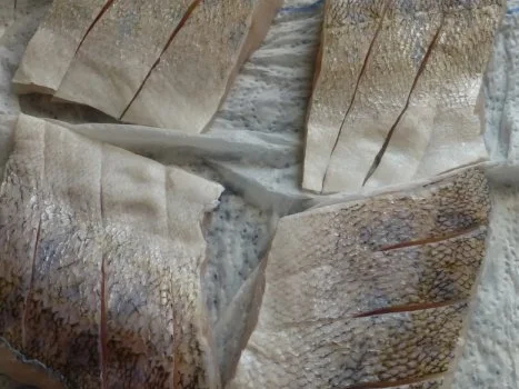 Zander mit Bratkartoffeln und Lauchzwiebeln - Rezept - Bild Nr. 3