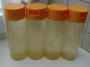 MInz Sirup - Rezept - Bild Nr. 162