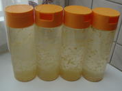 MInz Sirup - Rezept - Bild Nr. 162