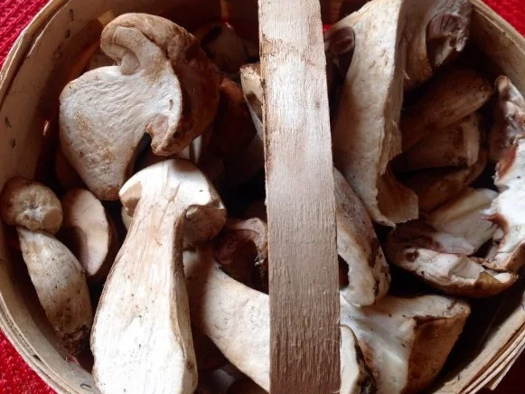 fruchtiger Steinpilzsalat - Rezept - Bild Nr. 5