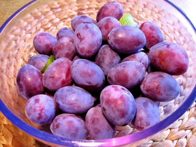 Haselnuss-Zwetschgenkuchen - Rezept - Bild Nr. 2